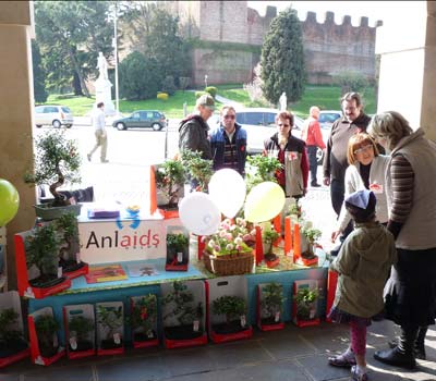Volontari di Anima Universale per BONSAI ANLAIDS Volontari di Anima Universale per BONSAI ANLAIDS