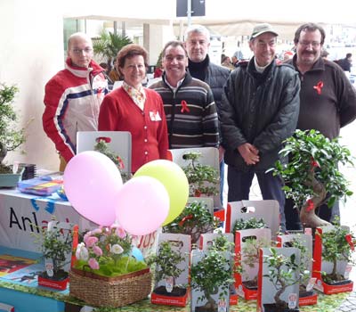 Volontari di Anima Universale per BONSAI ANLAIDS Volontari di Anima Universale per BONSAI ANLAIDS