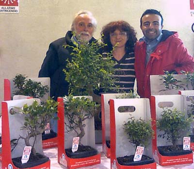 Volontari di Anima Universale per BONSAI ANLAIDS Volontari di Anima Universale per BONSAI ANLAIDS